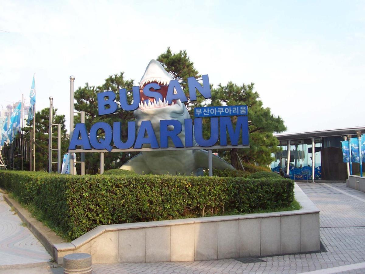 Haeundae Luxury House Apartment Busan Exterior photo